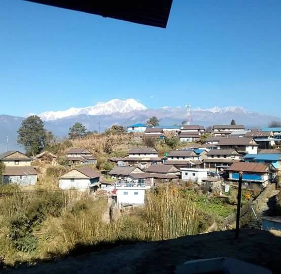 Ghale Gaun Homestay  gallery image 12512 