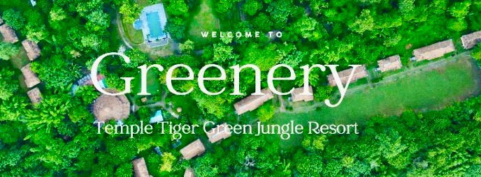 Temple Tiger Green Jungle Resort 