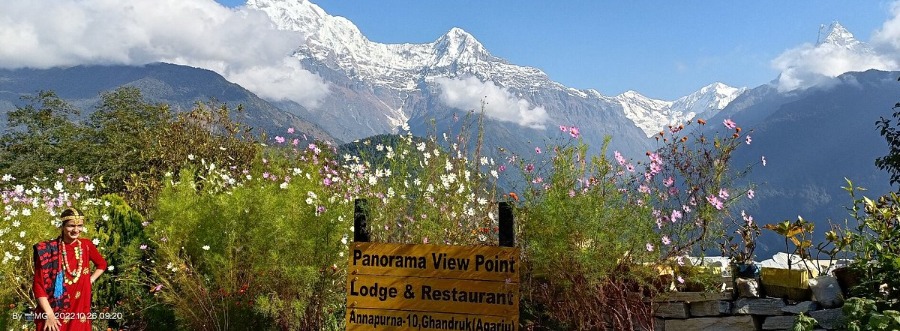 Panorama Point Lodge & Restaurant