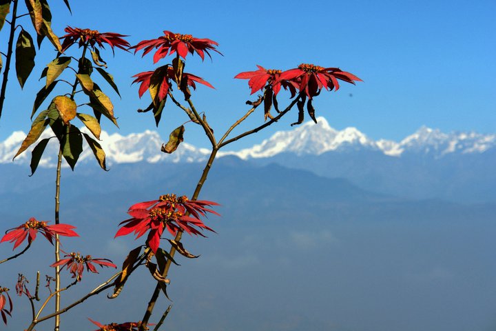 Dhulikhel Lodge Resort gallery image 15406 