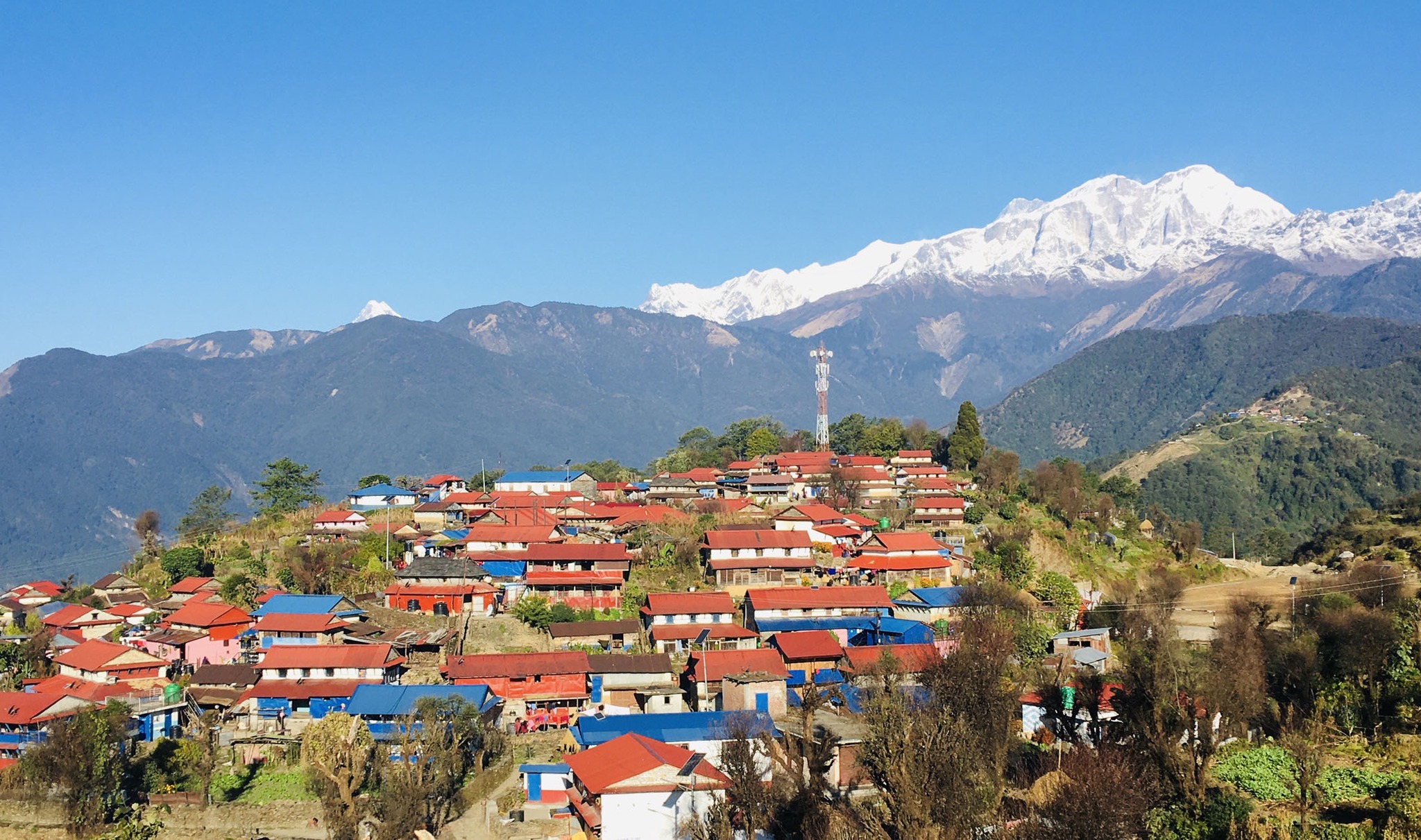 Ghale Gaun Homestay  gallery image 12518 
