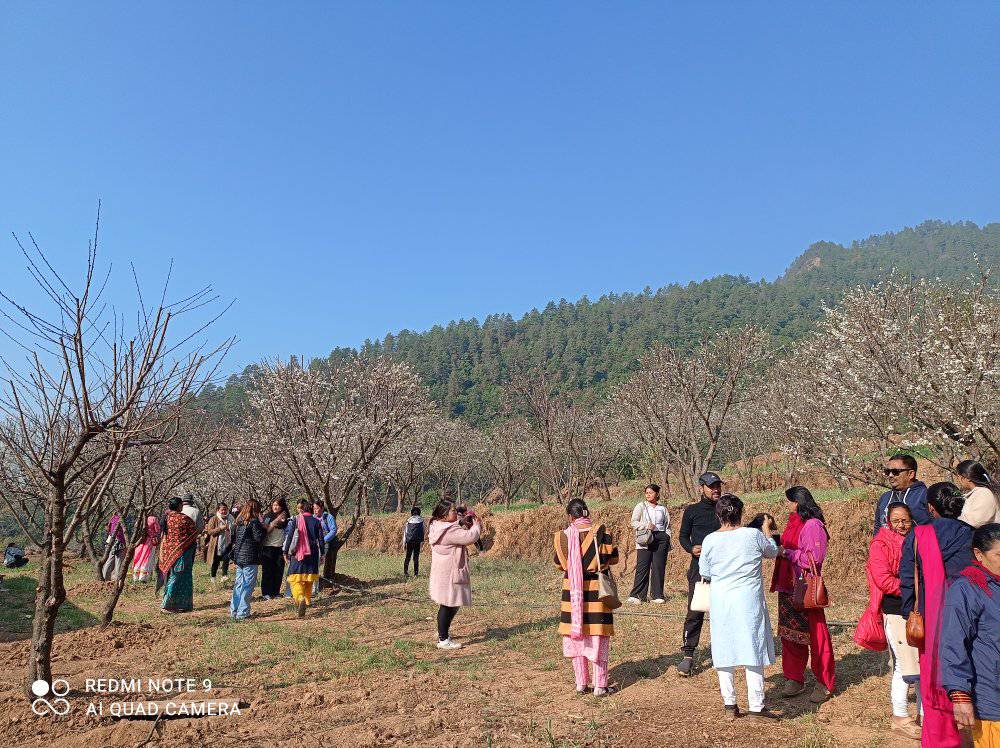 Chitlang Goatcheese Homestay  gallery image 12599 