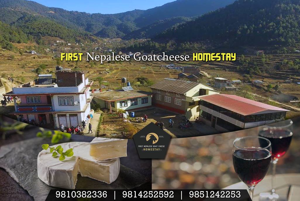 Chitlang Goatcheese Homestay  gallery image 12626 