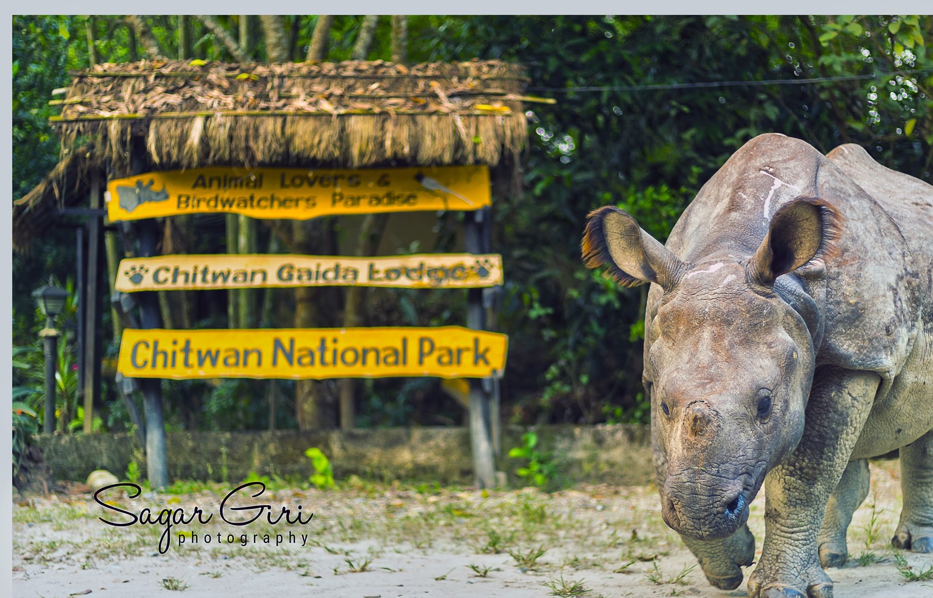 Chitwan Gaida Lodge