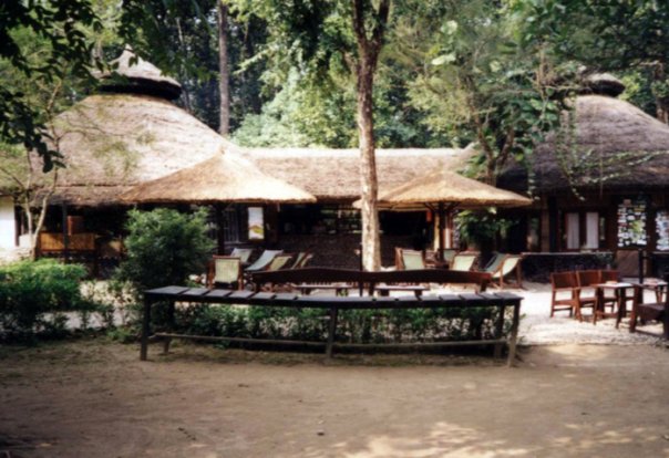 Chitwan Jungle Lodge 