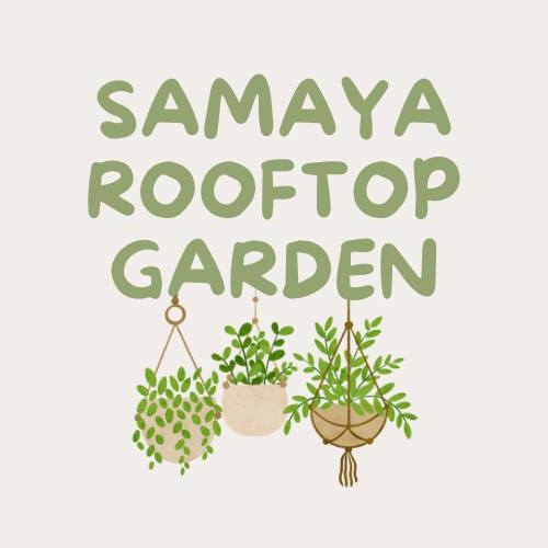 Samaya Rooftop Garden