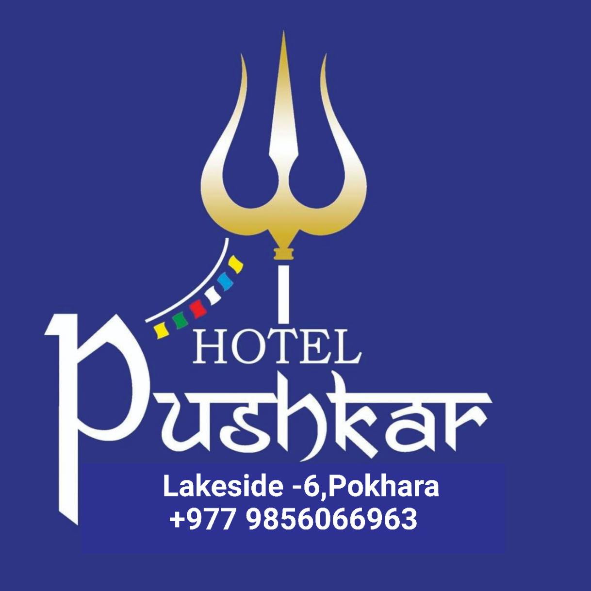 logo image